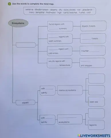 ECOSYSTEMS (Mindmap)