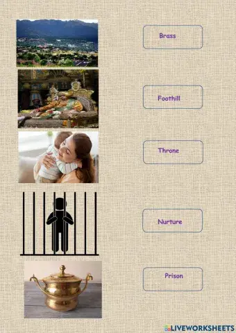 The Seven Seeds - Pictionary