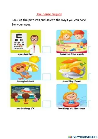 Ways to Care for the Eyes