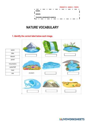 Project 8 - week 1 - p8-10th