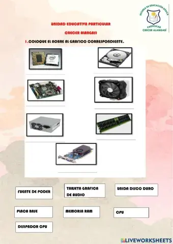 Partes internas del cpu