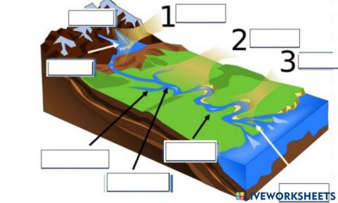 Features of a river