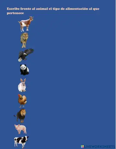 Clasificacion de los animales por su alimentacion