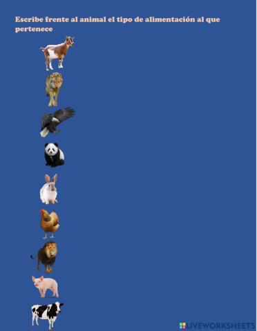 Clasificacion de los animales por su alimentacion