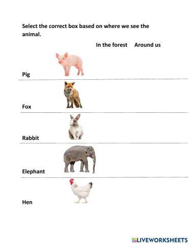 Animals