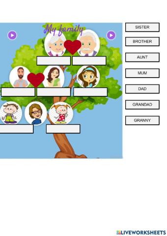 Family tree year 1