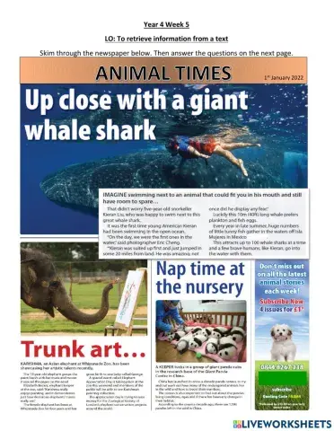 (HA) Y4 English Week 5 Lesson 1&2