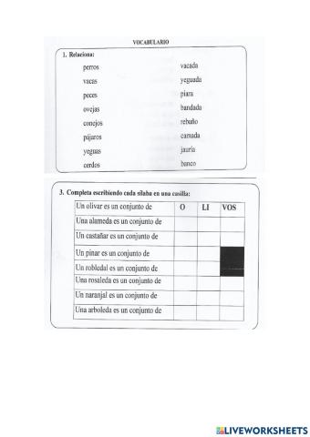 Sustantivos colectivos