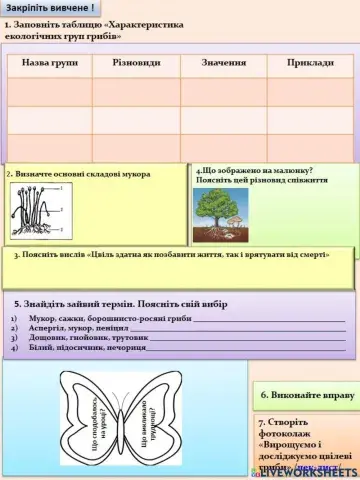 Екологічні групи грибів