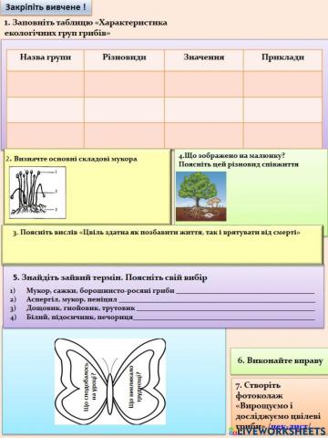 Екологічні групи грибів