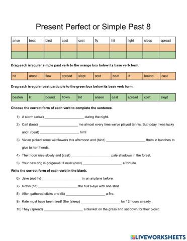Irregular Verbs in the Present Perfect or Simple Past 08