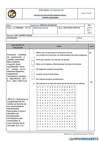 Instrumentos de evalución de décimo del primer quimestre