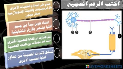 غلق الهدف الثاني