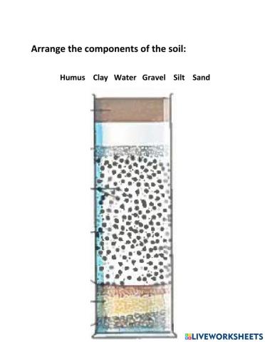 Soil Components