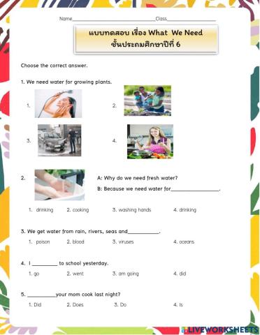 แบบทดสอบ เรื่อง What We Need