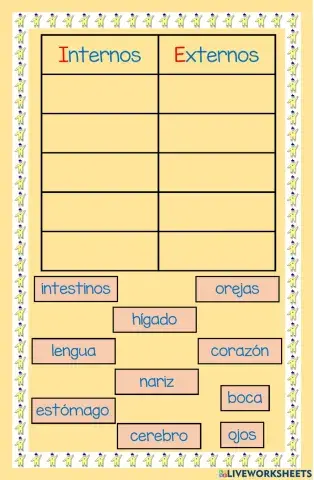 Órganos internos y externos