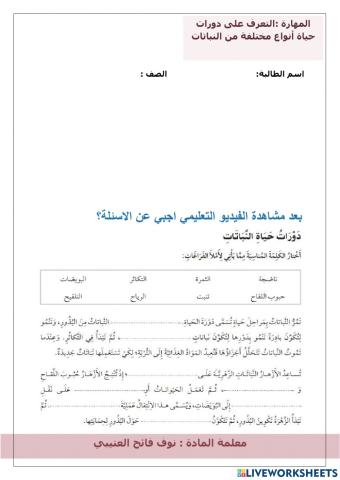 دورات حياة النباتات