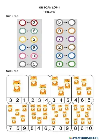 Phiếu toán 10