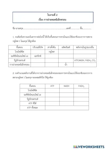 การหายใจระดับเซลล์