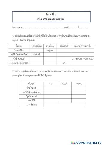 การหายใจระดับเซลล์