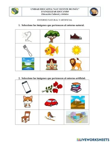 Elementos del entorno natural y artificial