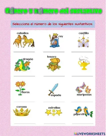 SINGULAR, PLURAL,MASCULINO, FEMENINO