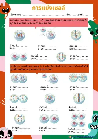 การแบ่งเซลล์