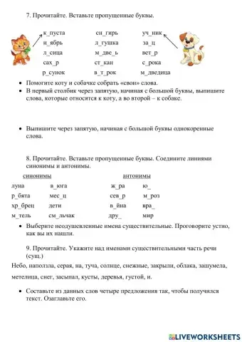 Части речи. Имя существительное