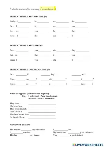 PRESENT SIMPLE Drills