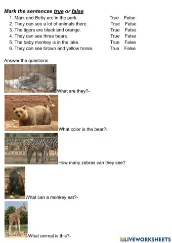 Grammar genius a Articles plural