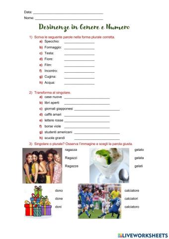 Desinenze singolare e plurale