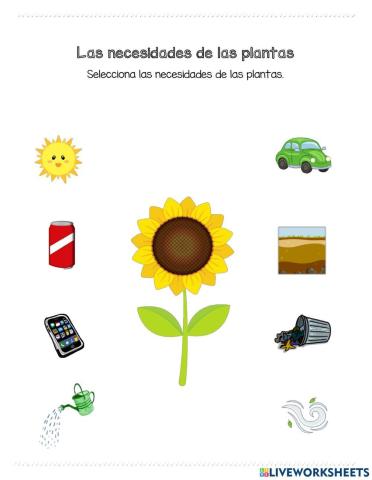 Las necesidades de las plantas