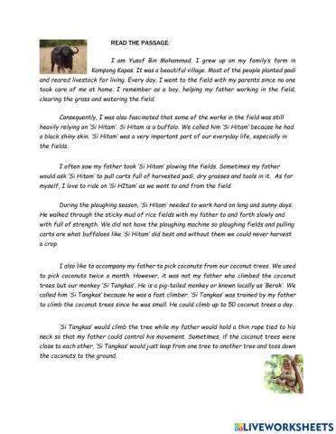 Man&Animals-Reading Comprehension