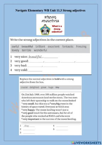 Navigate Elementary WB Unit 11.3 Strong adjectives