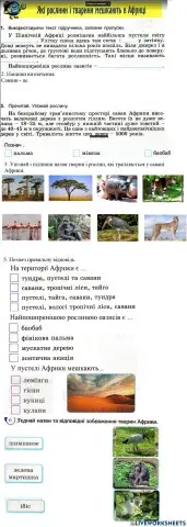 Які рослини і тварини мешкають в Африці