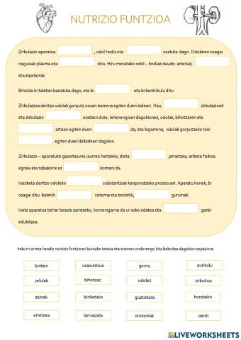 Nutrizio funtzioa (Zirkulazio eta iraizketa)