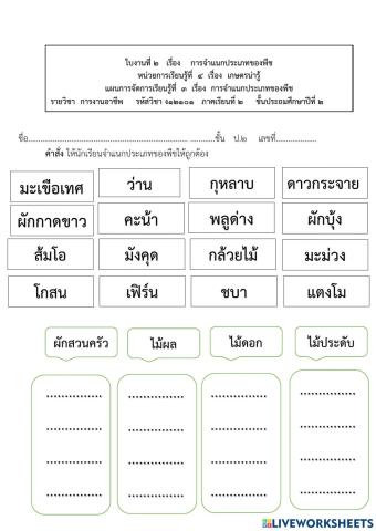 จำแนกผักสวนครัว