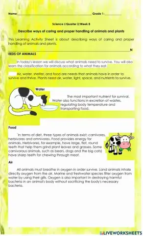 Describe ways of caring and proper handling of animals and plants