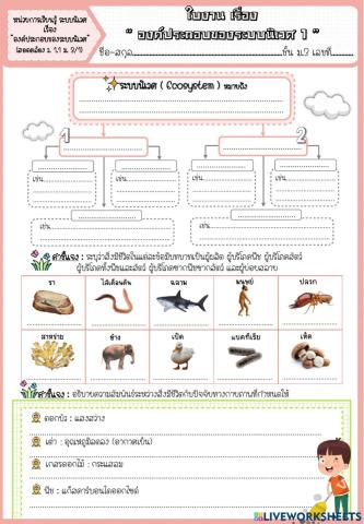 องค์ประกอบของระบบนิเวศ