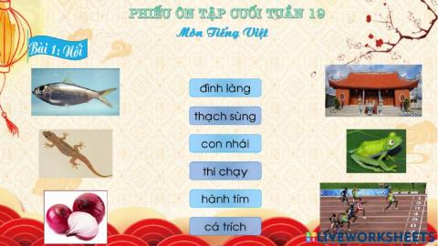 Phiếu bài tập cuối tuần 19