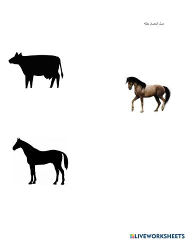 حيوانات المزرعة