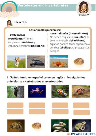 Vertebrates and invertebrates