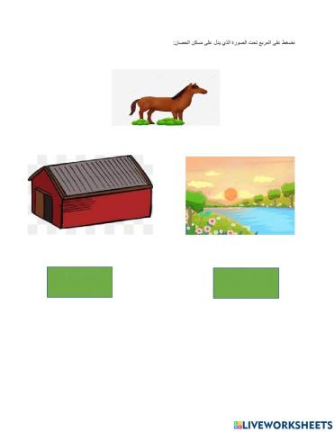 حيوانات المزرعة