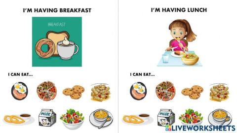 What can you eat for breakfast-lunch-dinner?