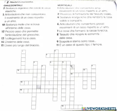 Cruciverba sistema scheletrico