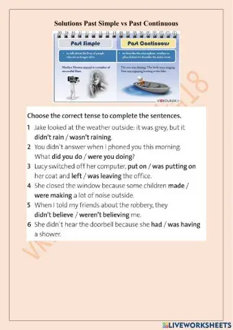 Solutions PI WB 2D Past Simple Past Continuous