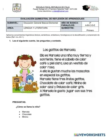 Evaluación de lengua y literatura