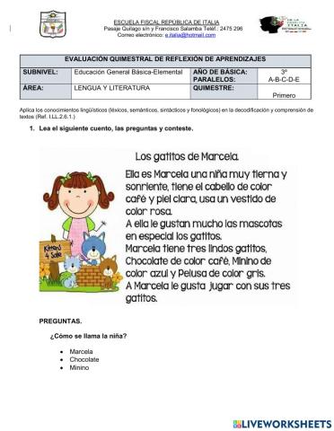 Evaluación de lengua y literatura