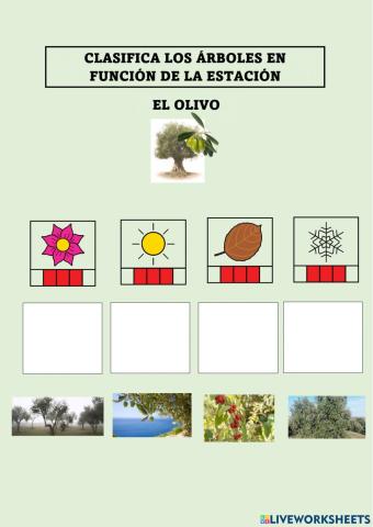 Los árboles y la primavera