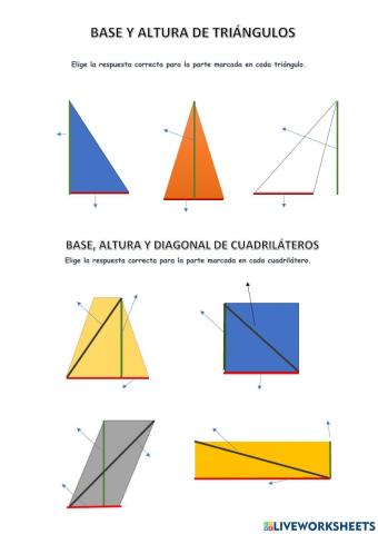 Altua y base de triángulos y cuadriláteros